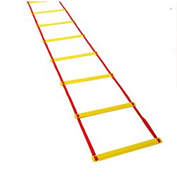 Tandem Volleyball Agility Ladder