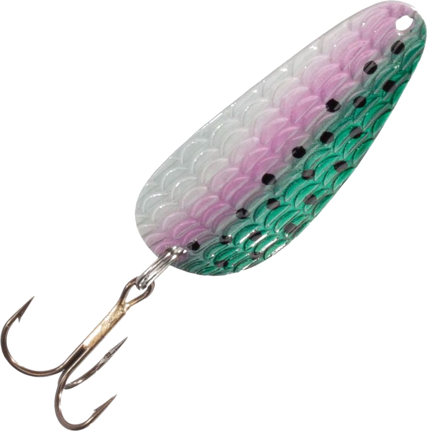 Rainbow Trout