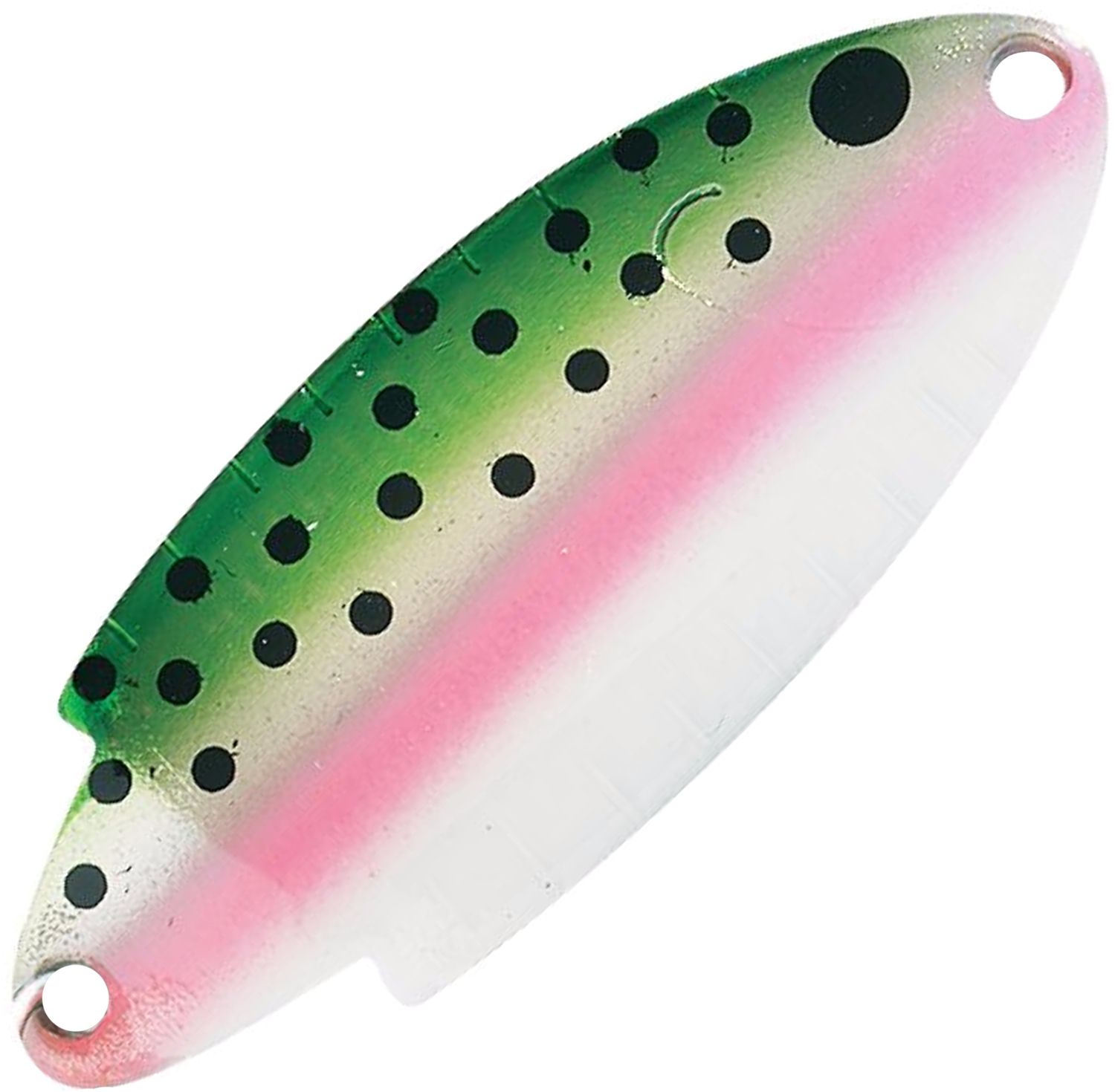 Rainbow Trout