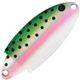 Rainbow Trout