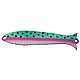 Rainbow Trout