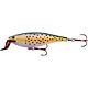 Rainbow Trout