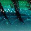 Blue/Green Shark