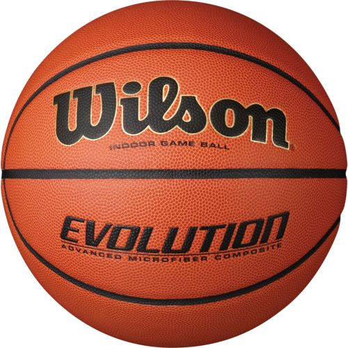 Wilson Evolution Game Basketball