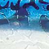 Blue Mackerel