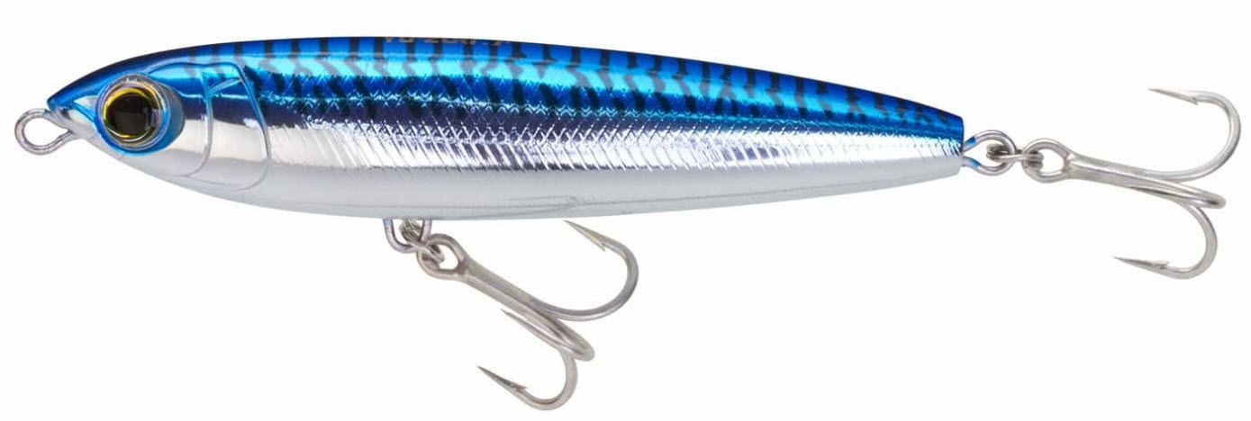 Blue Mackerel