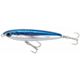 Blue Mackerel