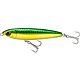 Green Mackerel