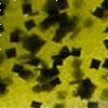 Watermelon Seed
