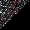 Black/Multi