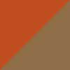 Tortoise Brown