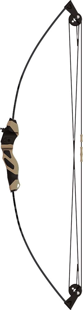 the arrow compound bow