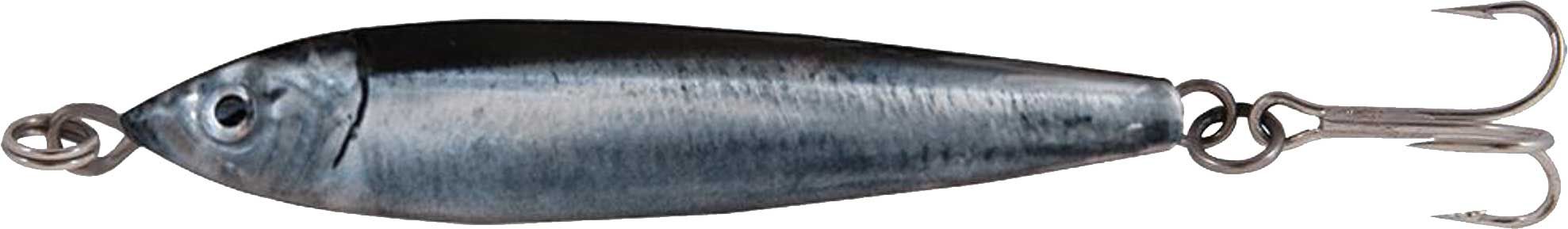 Anchovy