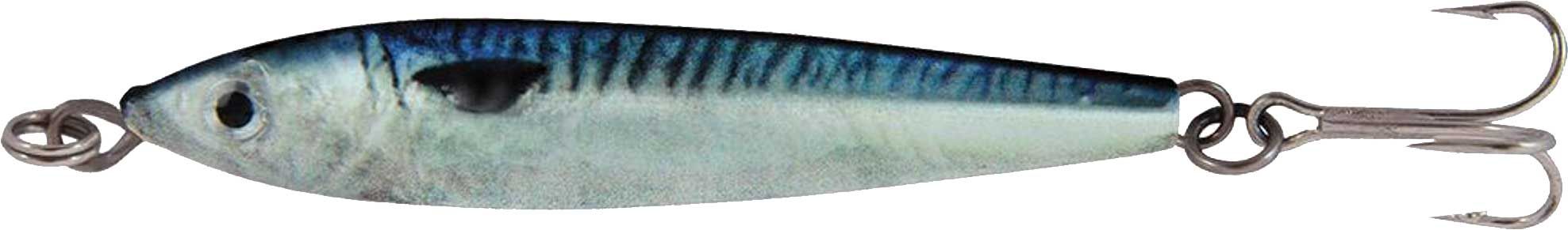 Blue Mackerel