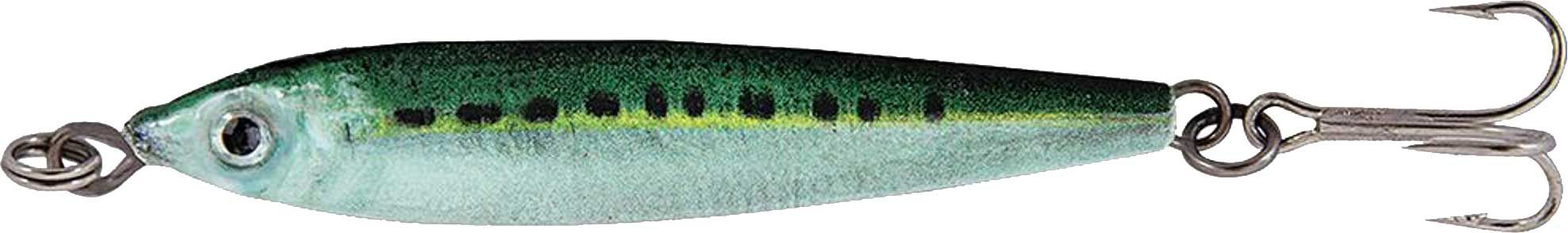 Sardine