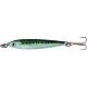 Sardine