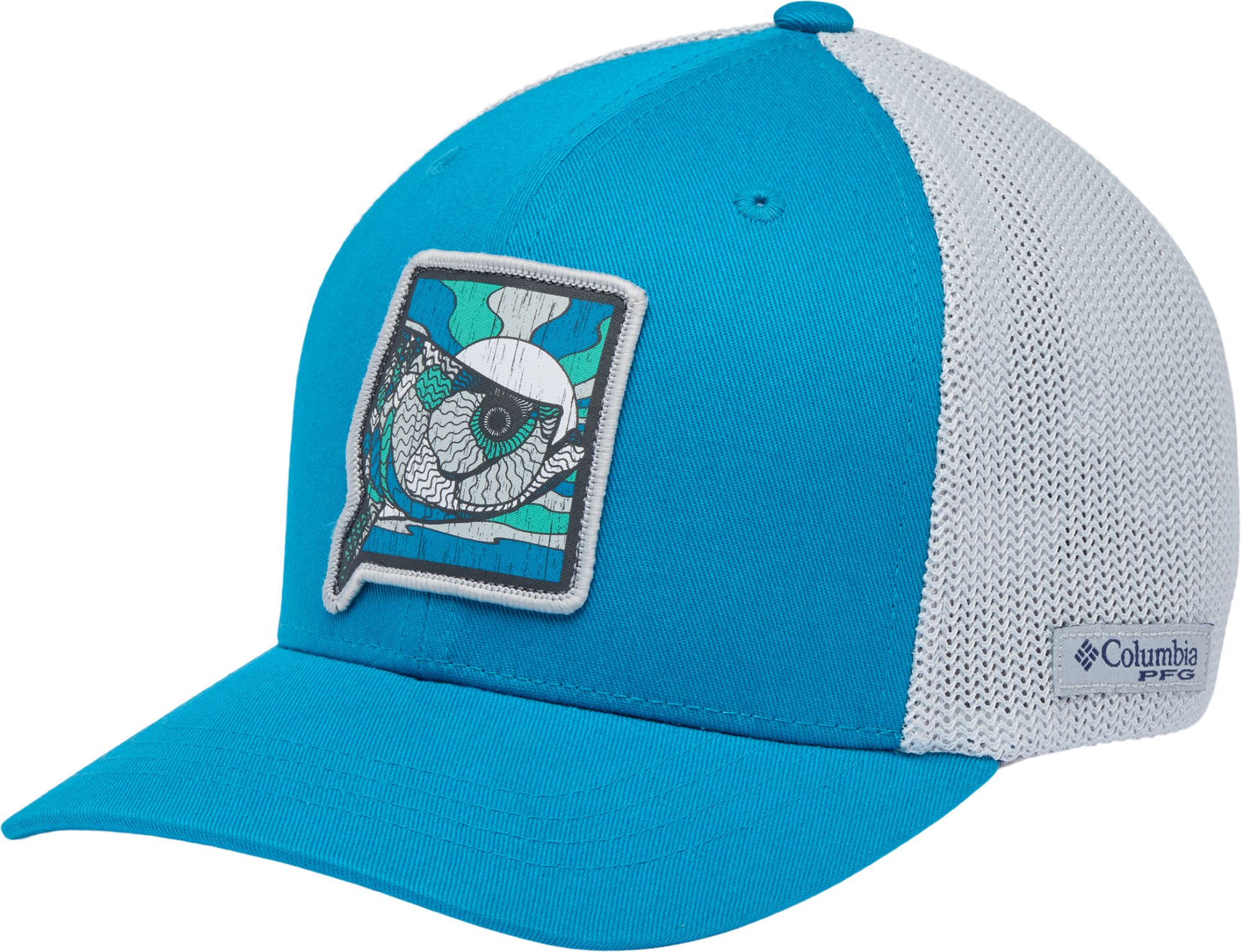 Blue Echo/Cool Grey Logo