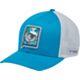 Blue Echo/Cool Grey Logo