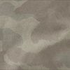Fossil Tan Camo