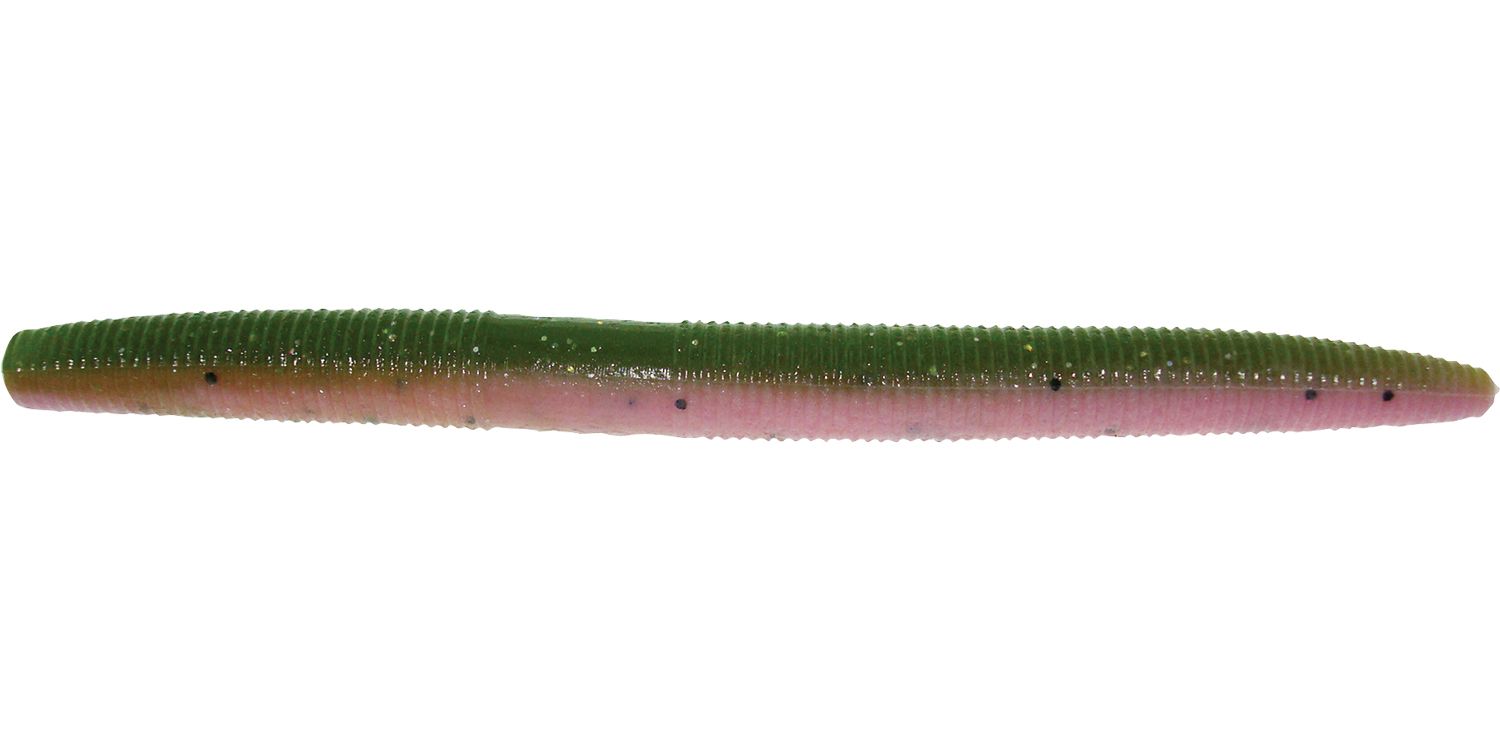 Rainbow Trout