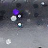 Smoke Purple Hologram