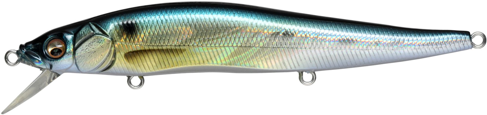 GG Threadfin Shad
