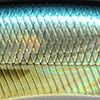 Gg Threadfin Shad