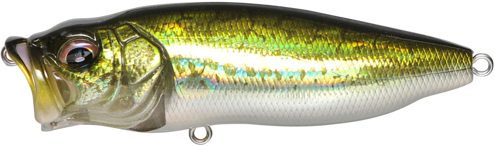 Megabass PopMax Popper Topwater Lure