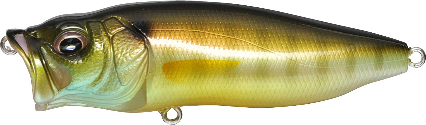 Megabass PopMax Popper Topwater Lure