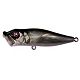 GG Deadly Black Shad