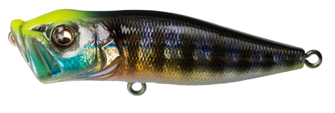 Gg Wild Gill
