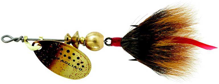 Brown/Gold