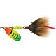 Hot Firetiger/Brown Tail