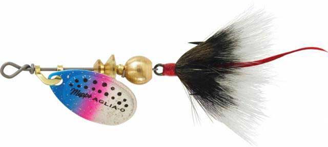 Rainbow Trout