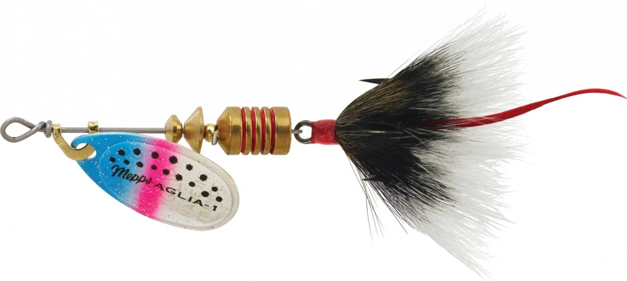 Rainbow Trout/Grey Tail
