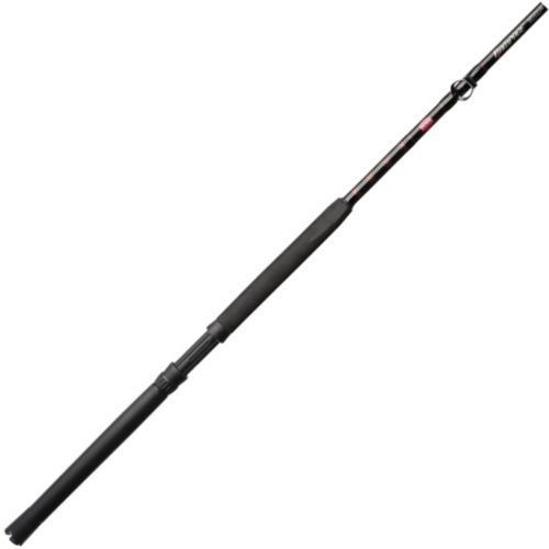 PENN Fishing Battalion II Inshore Spinning Rod | Dick's