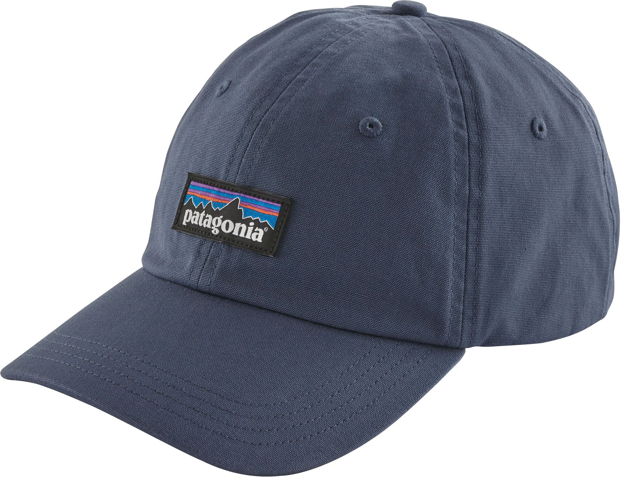 patagonia dad cap