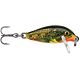 Fire Minnow