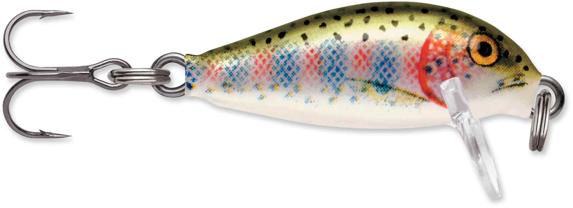 Rainbow Trout