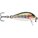 Rainbow Trout