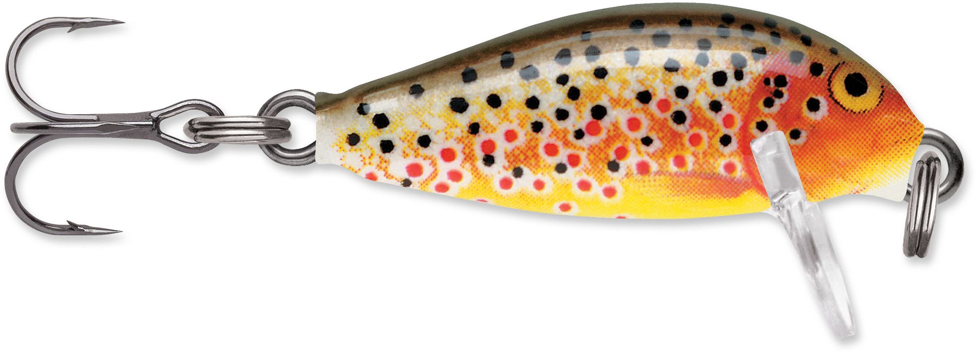 Trout