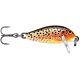 Trout