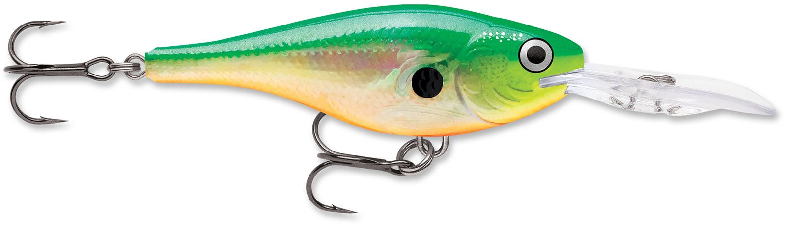 Citrus Shad