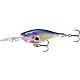 Purple Shad