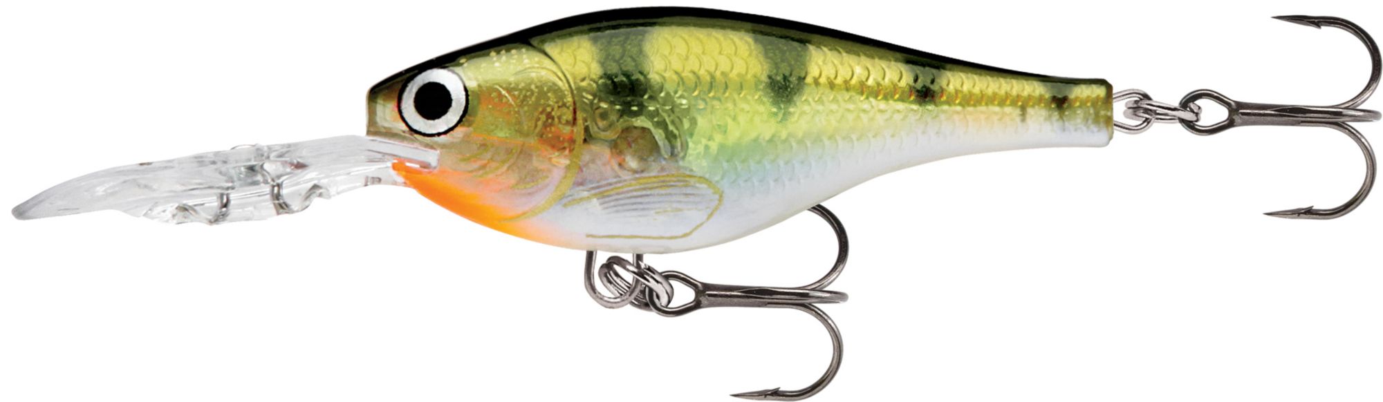 Yellow Perch
