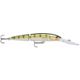 Yellow Perch