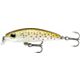 Trout