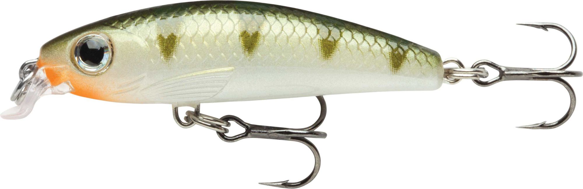 Yellow Perch