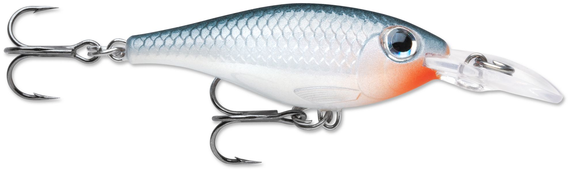 Shad