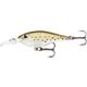 Trout